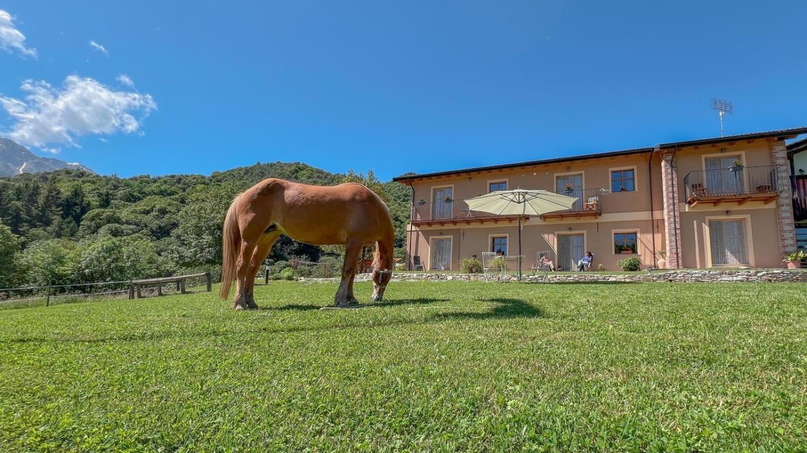 Ferienwohnung Ranch Enbruca Boves Exterior foto